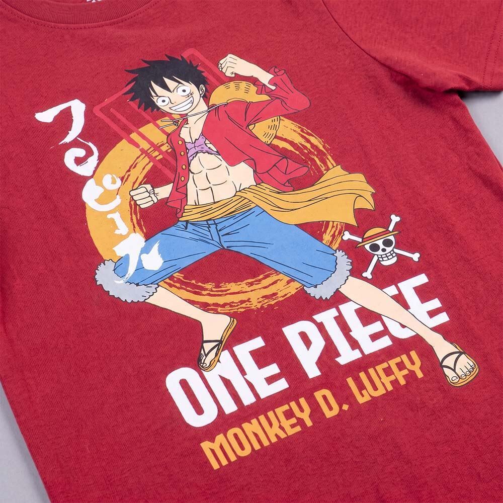 Camiseta Infantil Menino One Piece 4 a 10 Anos