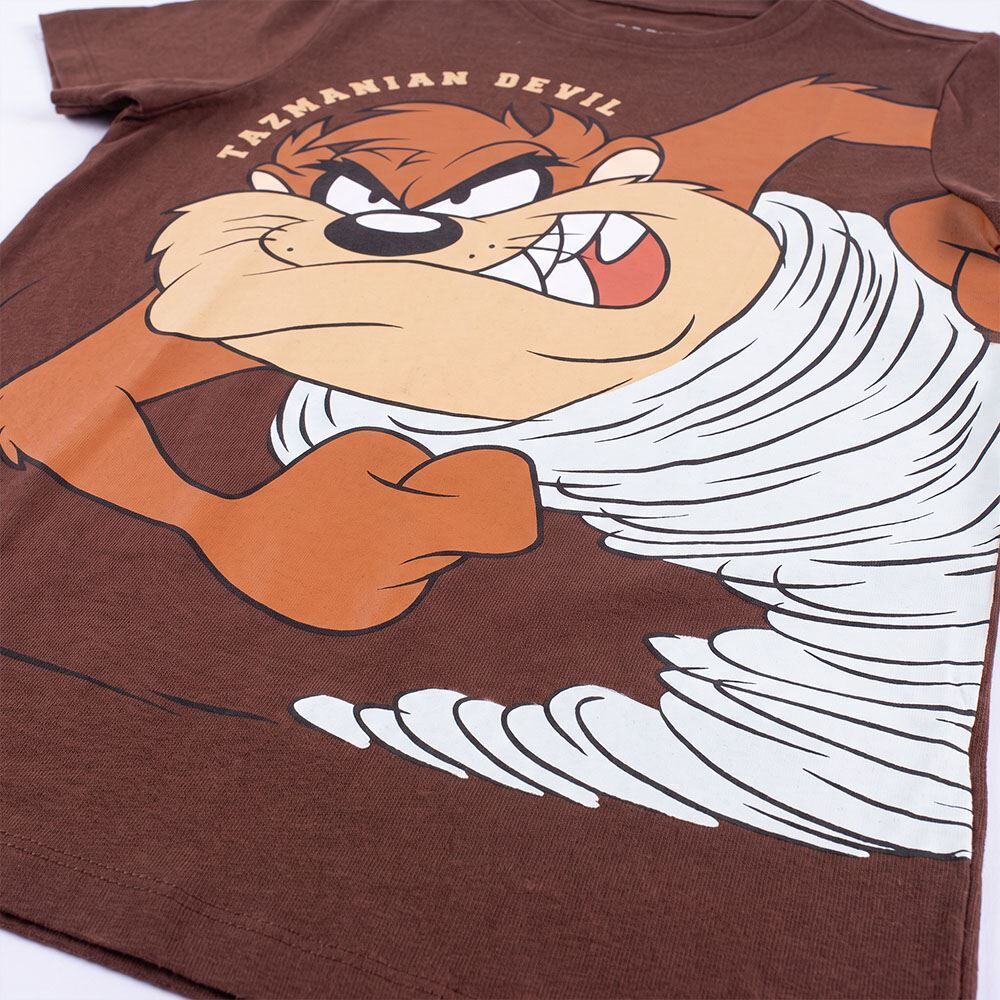 Camiseta Juvenil Menino Taz 12 a 16 Anos