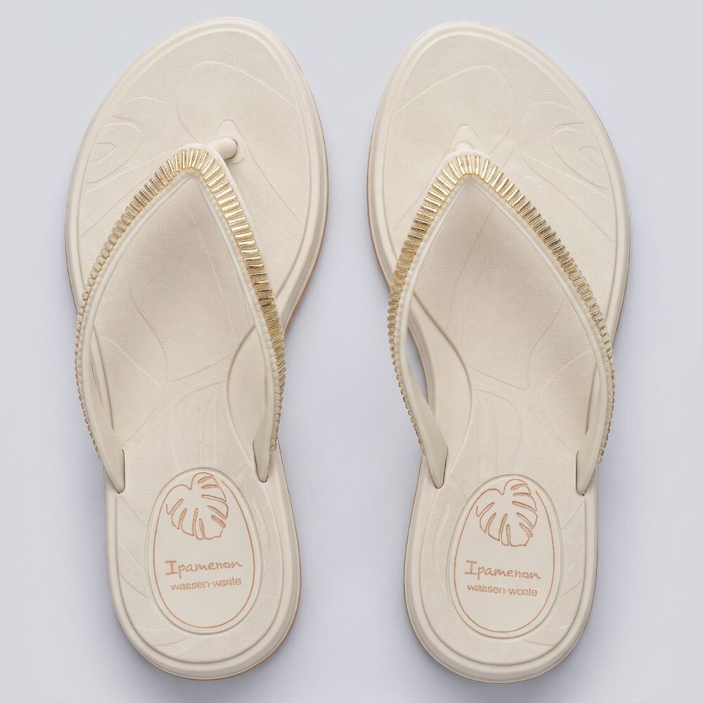 Chinelo Ipanema Feminino Shine Ad