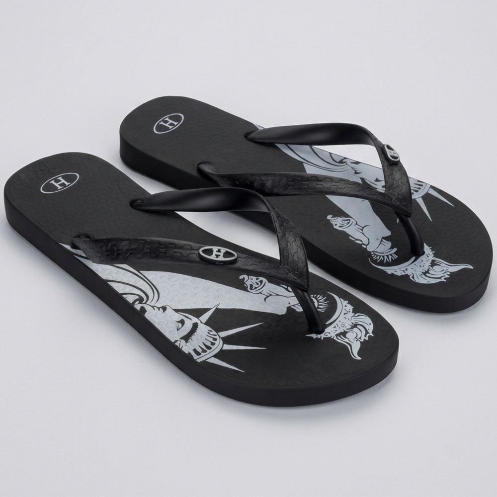 Chinelo Ipanema Unissex Havan