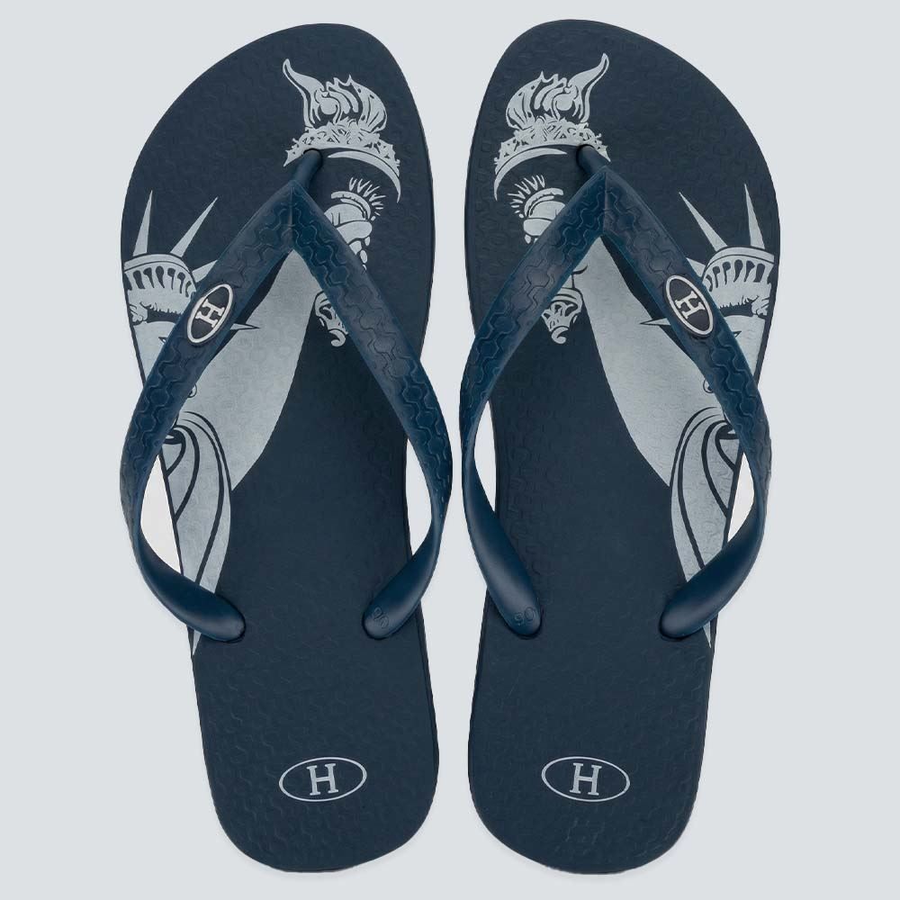 Chinelo Ipanema Unissex Havan