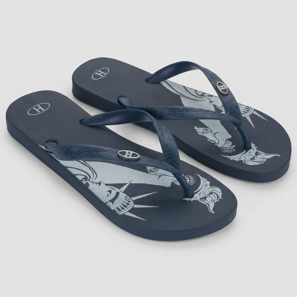Chinelo Ipanema Unissex Havan