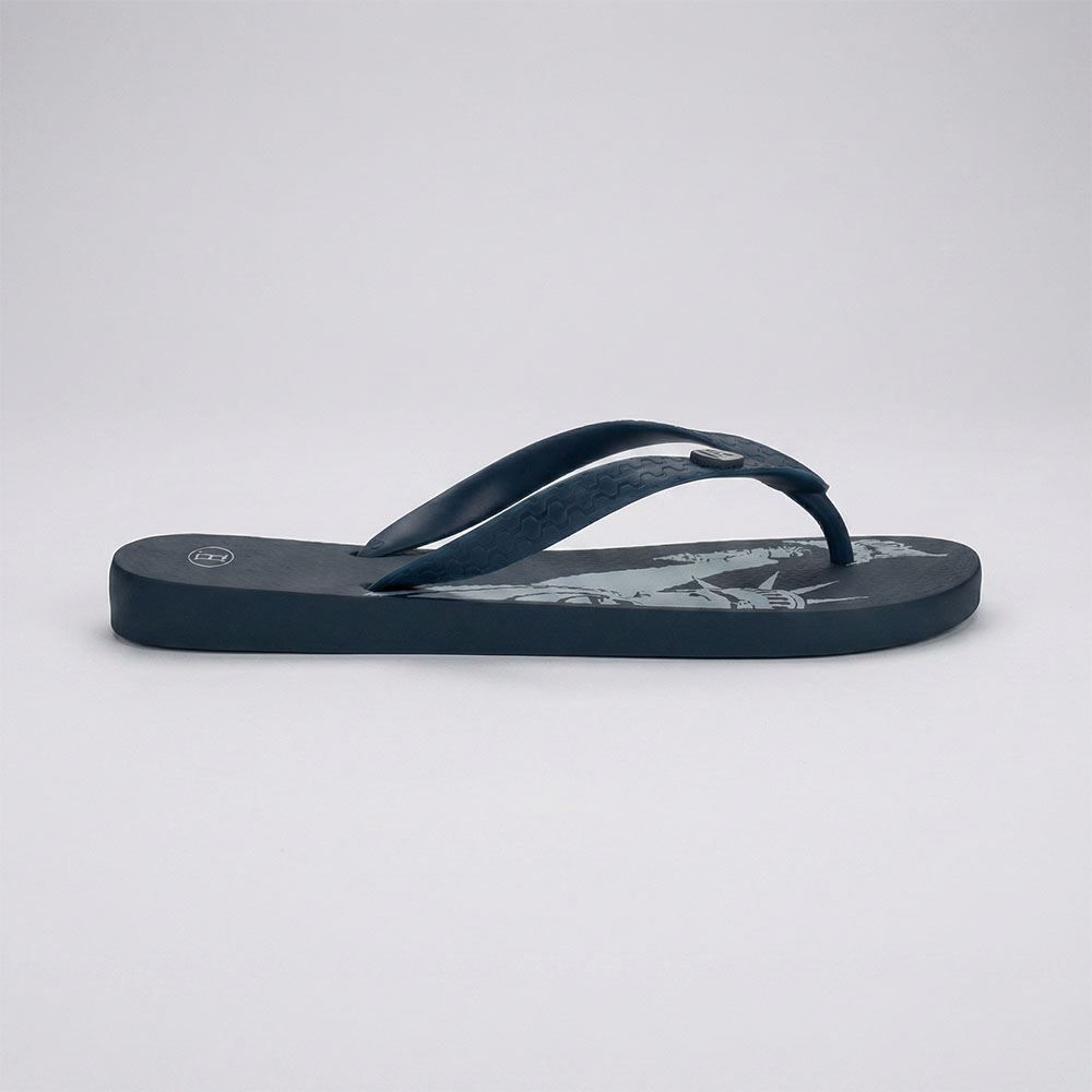 Chinelo Ipanema Unissex Havan