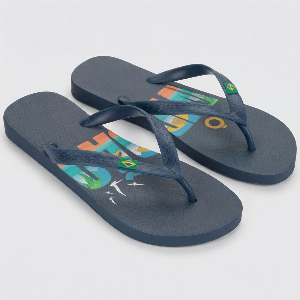 Chinelo Ipanema Unissex Havan