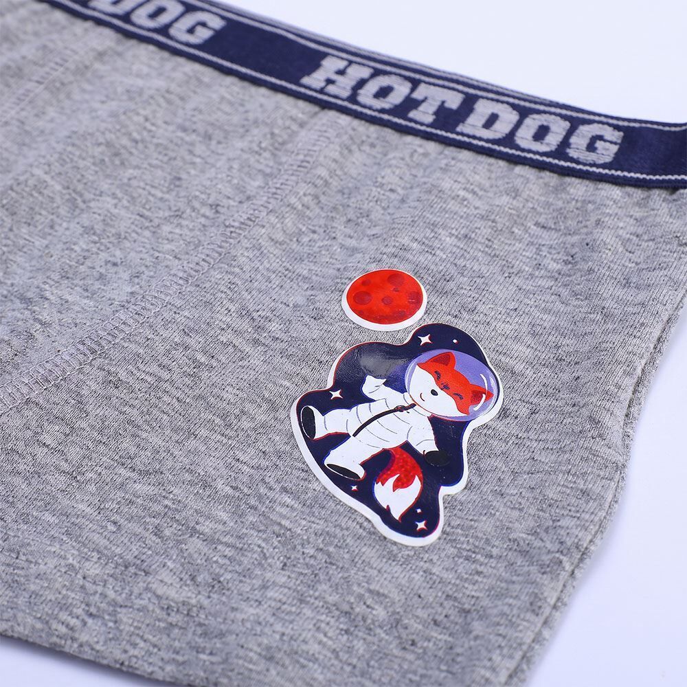 Cueca Boxer Infantil 2 a 10 Anos Em Algodão Hot Dog