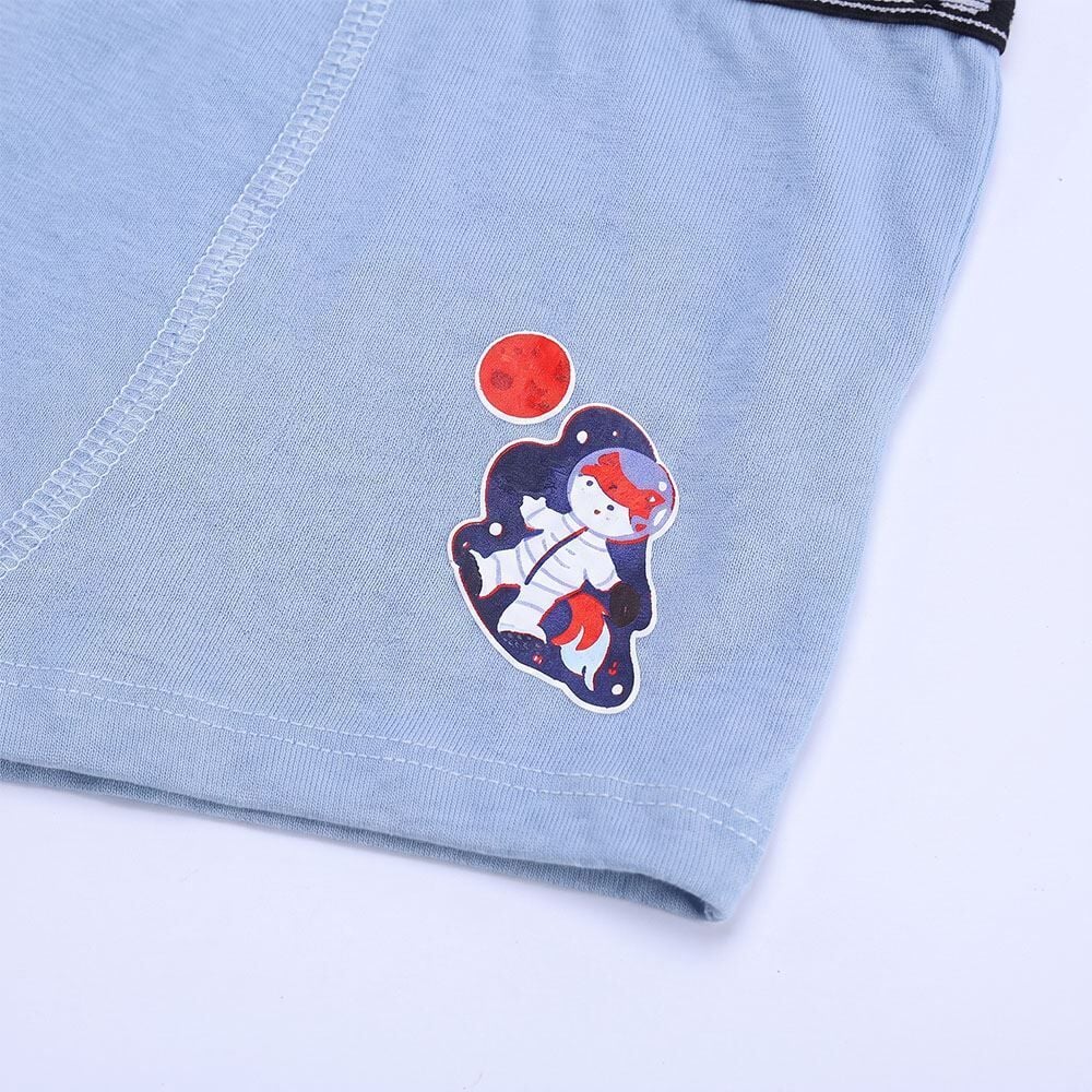 Cueca Boxer Infantil 2 a 10 Anos Em Algodão Hot Dog