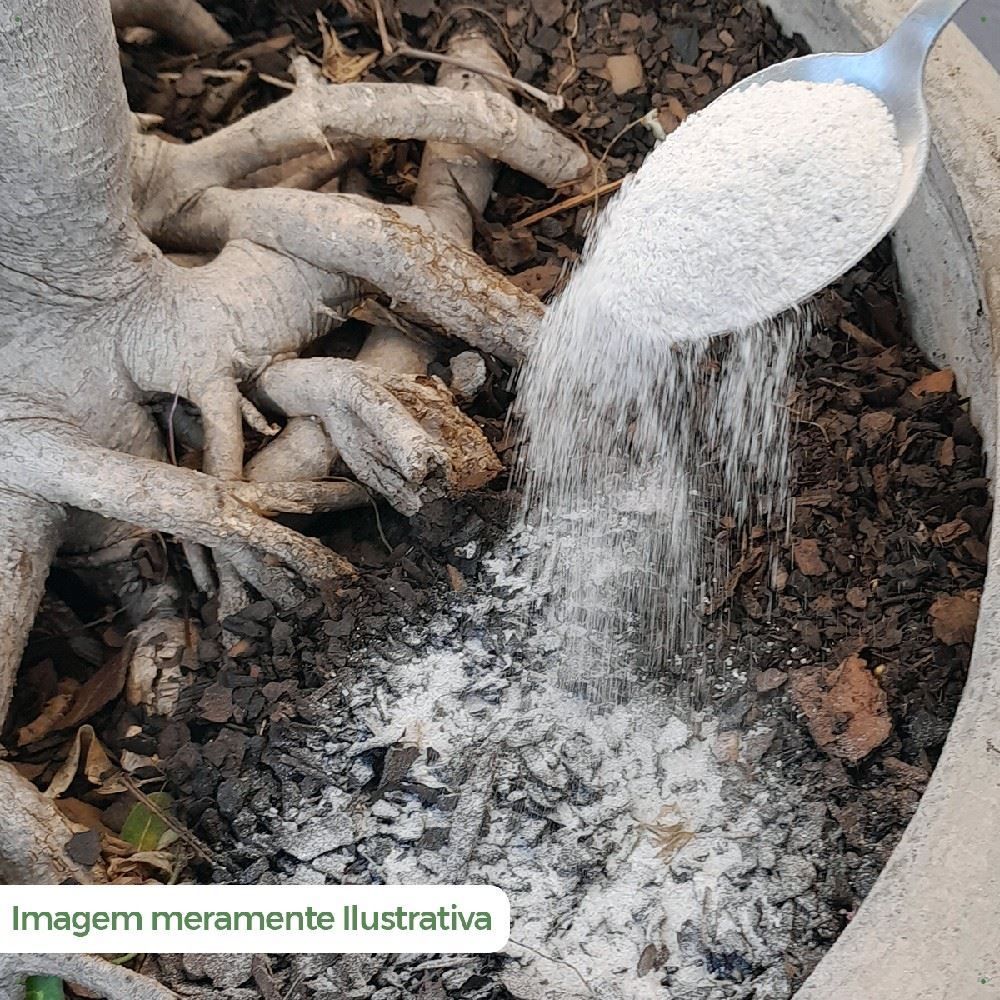 Fertilizantes para Jardim 400G Forth - Jardim