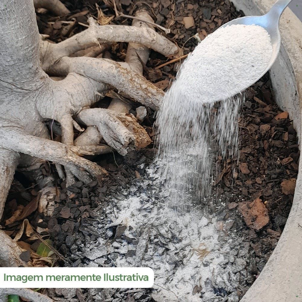 Fertilizantes para Jardim 400G Forth - Flores