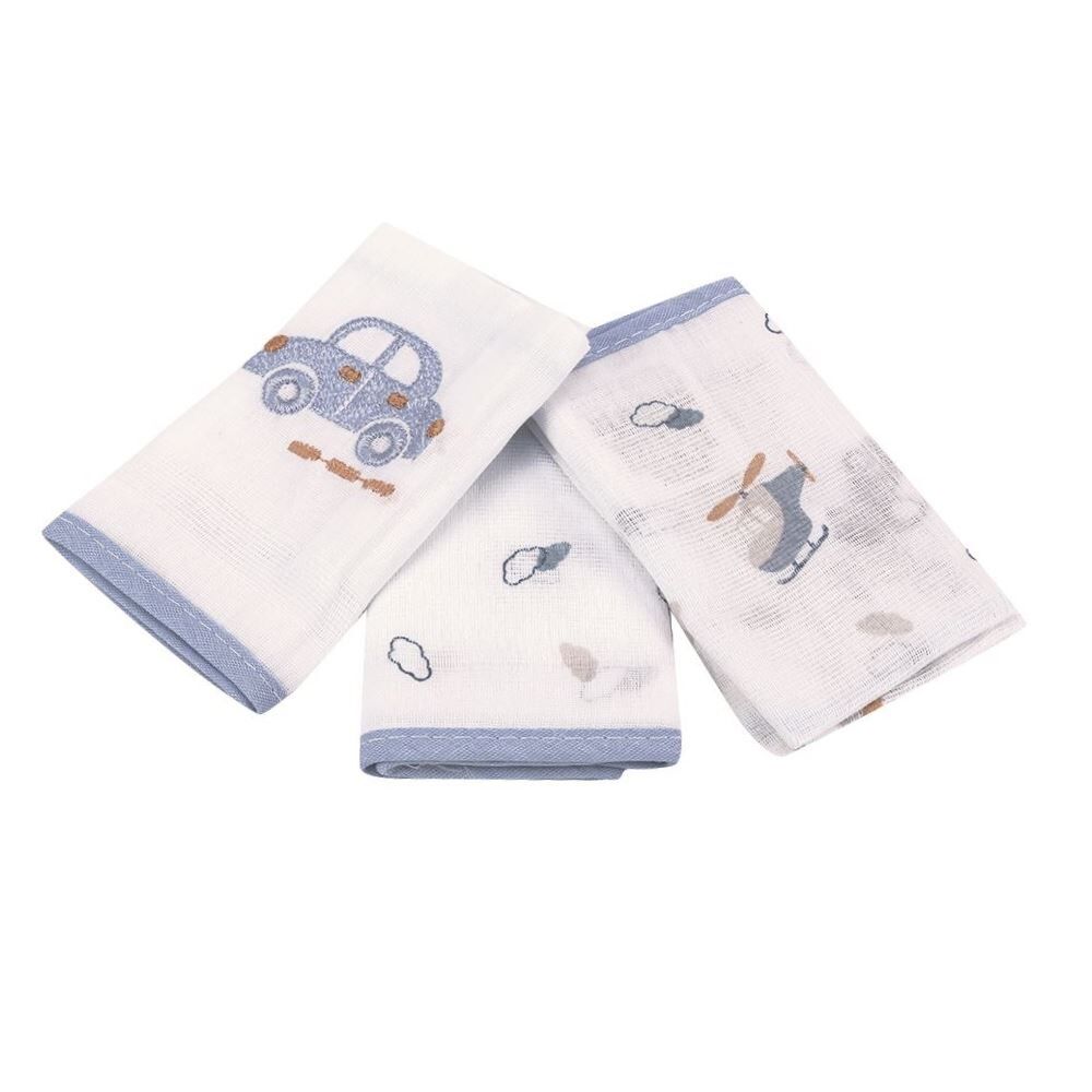 Kit 3 Panos de Boca 32X32cm 100% Algodão Havan Baby - Carros
