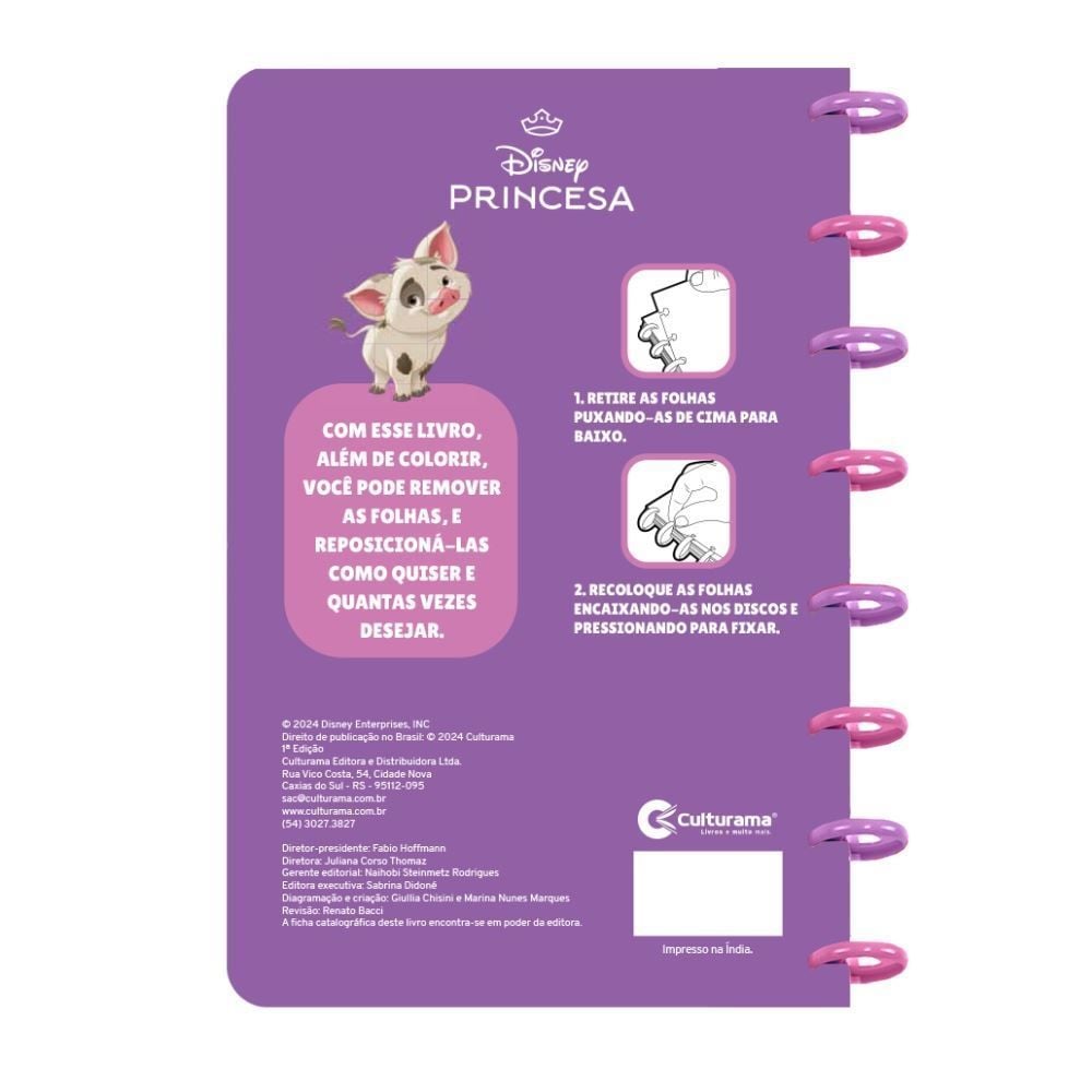 Livro para Ler e Colorir com Disco Disney Princesas Culturama