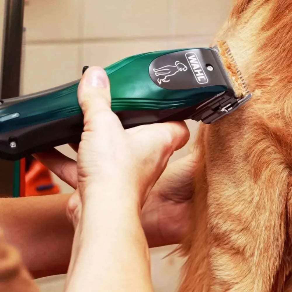 Máquina de Tosa para Animais Wahl Groom Lite Sem Fio