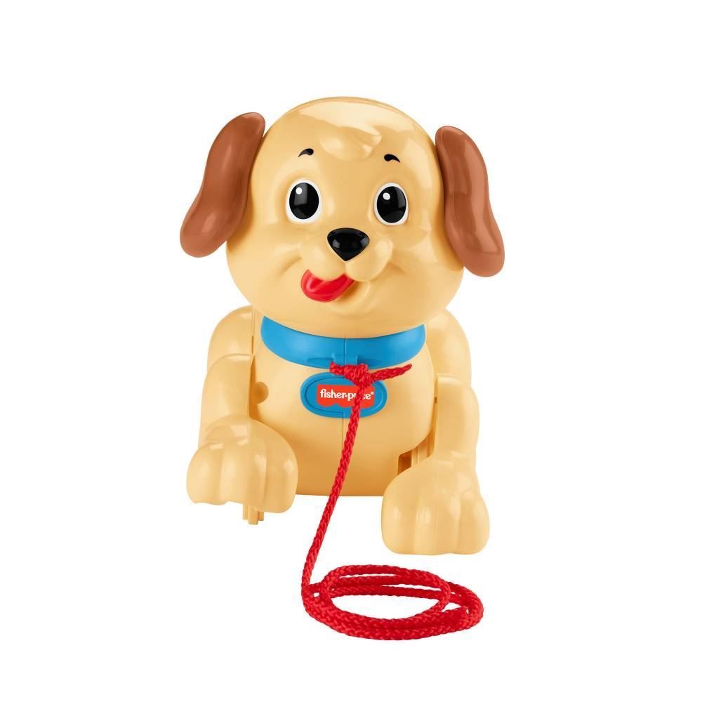 Meu Primeiro Cachorrinho Mattel - H9447