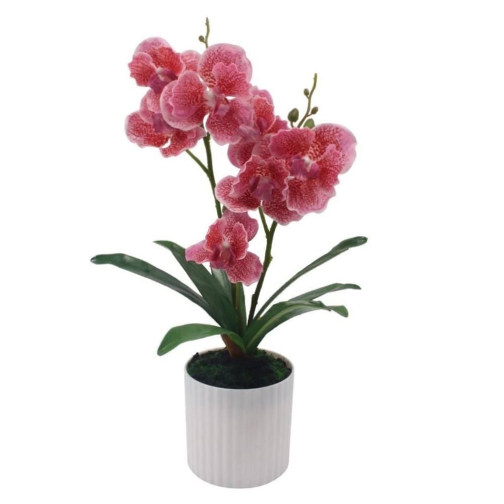 Orquídea Artificial Havan Casa 35Cm - Sortido