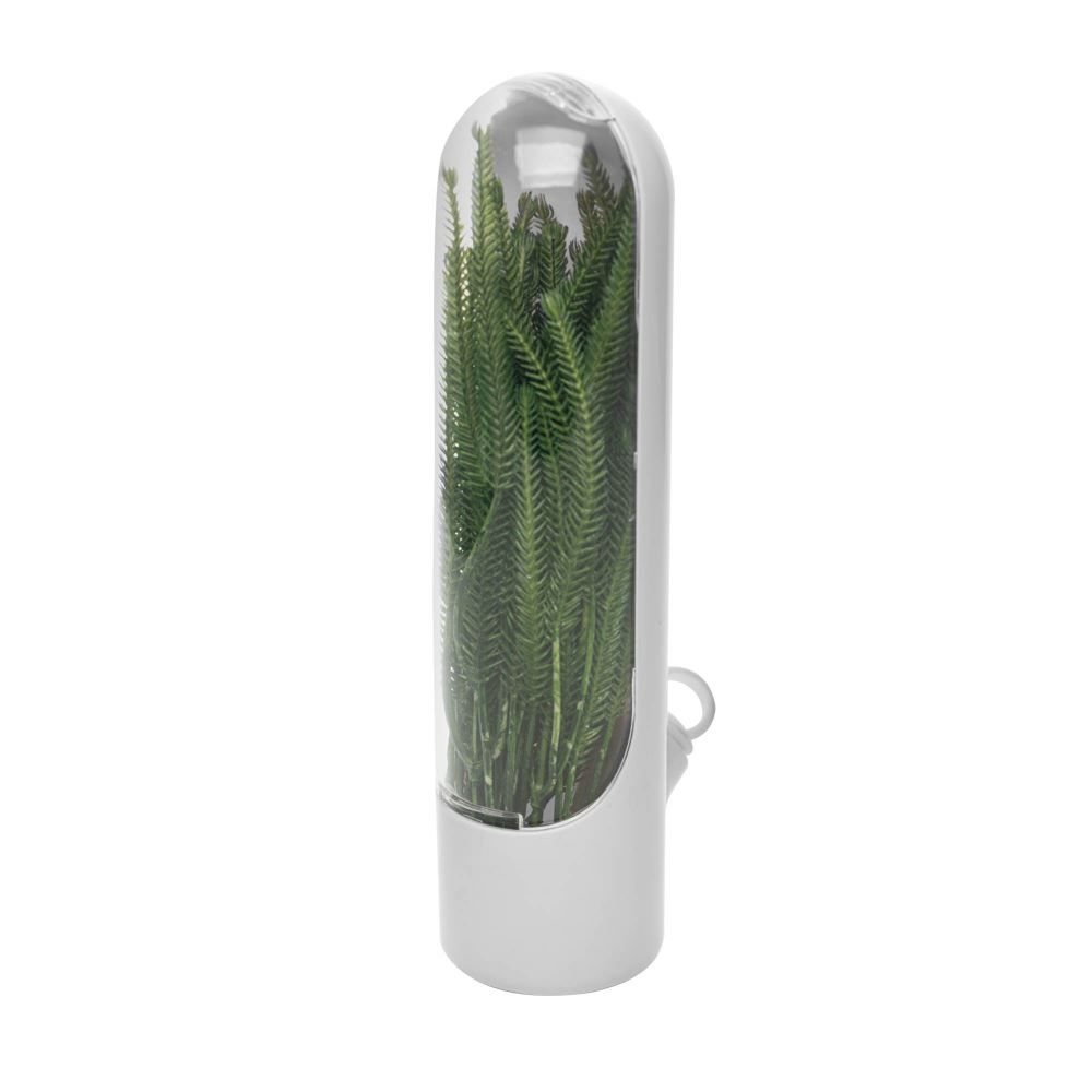 Pote Conservador Temperos Frescos Lyor 10Cm Lyor