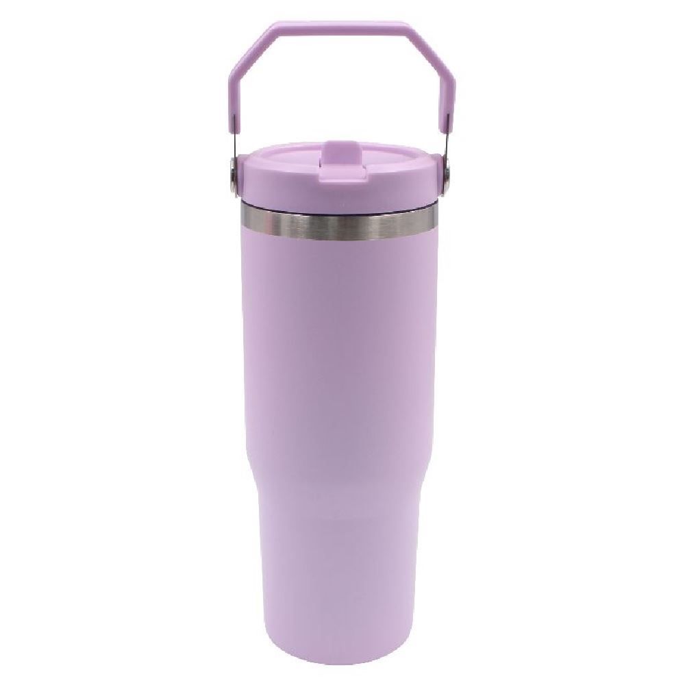 Squeeze Térmica Inox Havan Casa 885Ml - Lilás