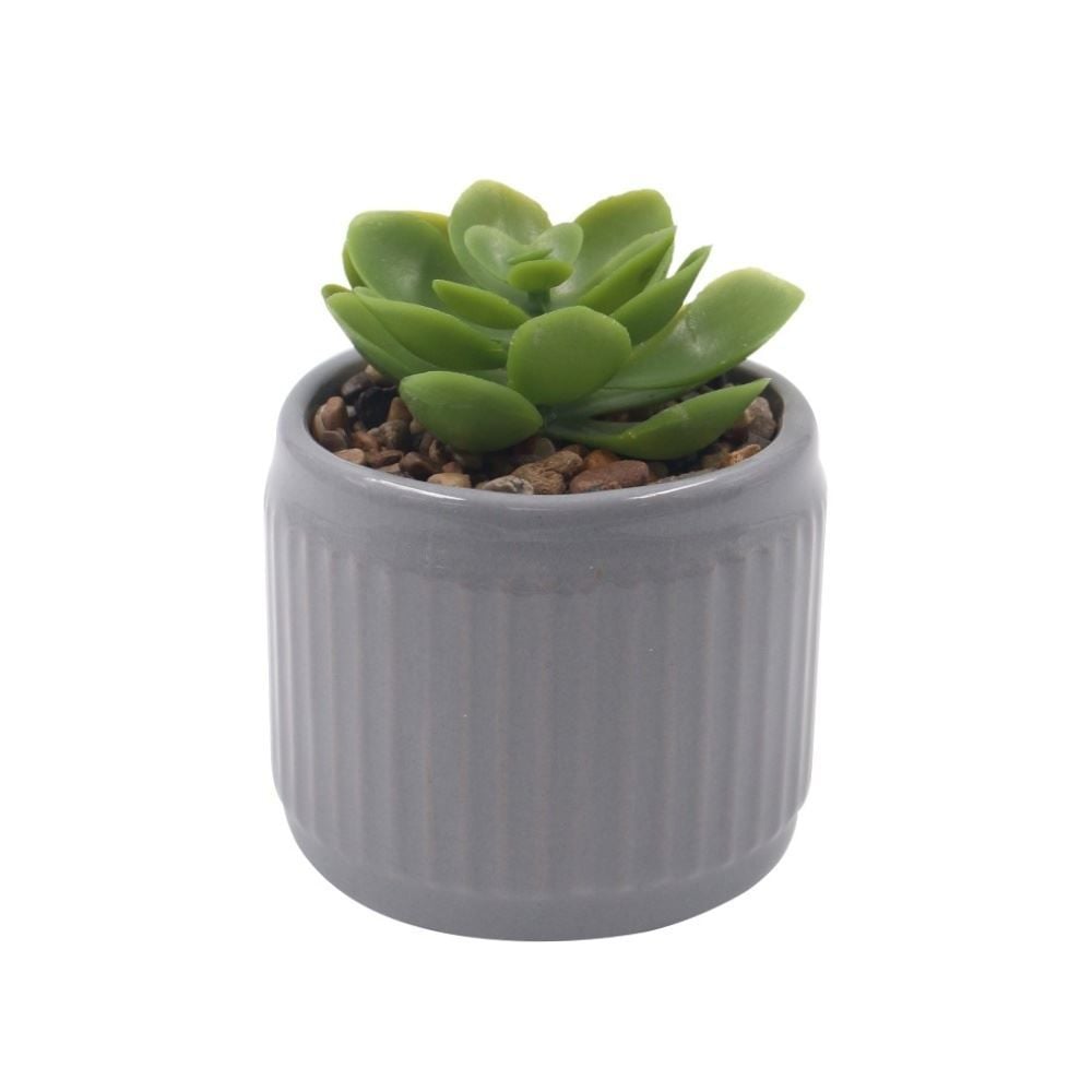 Suculenta Artificial com Vaso de Cerâmica 9Cm Havan Casa - Sortido