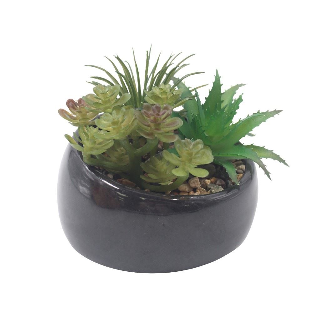 Suculenta Artificial com Vaso de Cerâmica 9Cm - Havan Casa