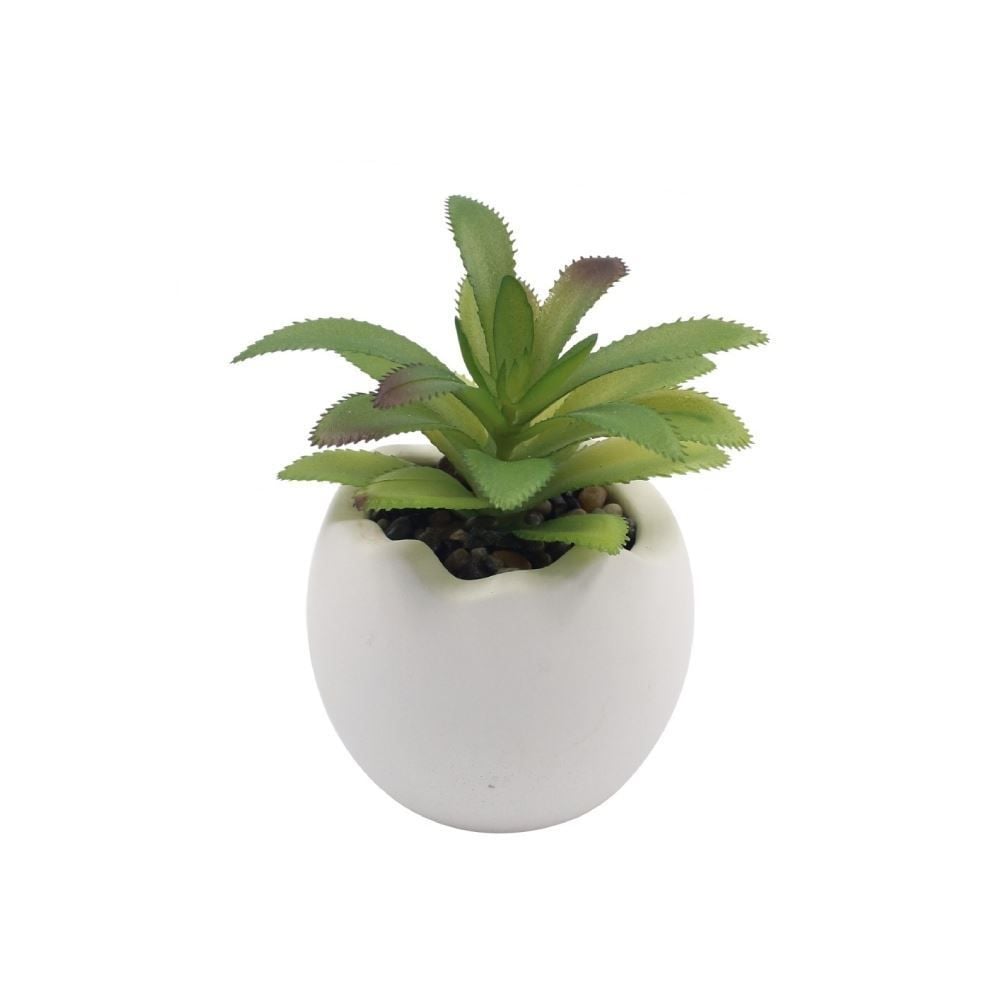 Suculenta Artificial Vaso de Cimento Havan Casa 12Cm - Sortido