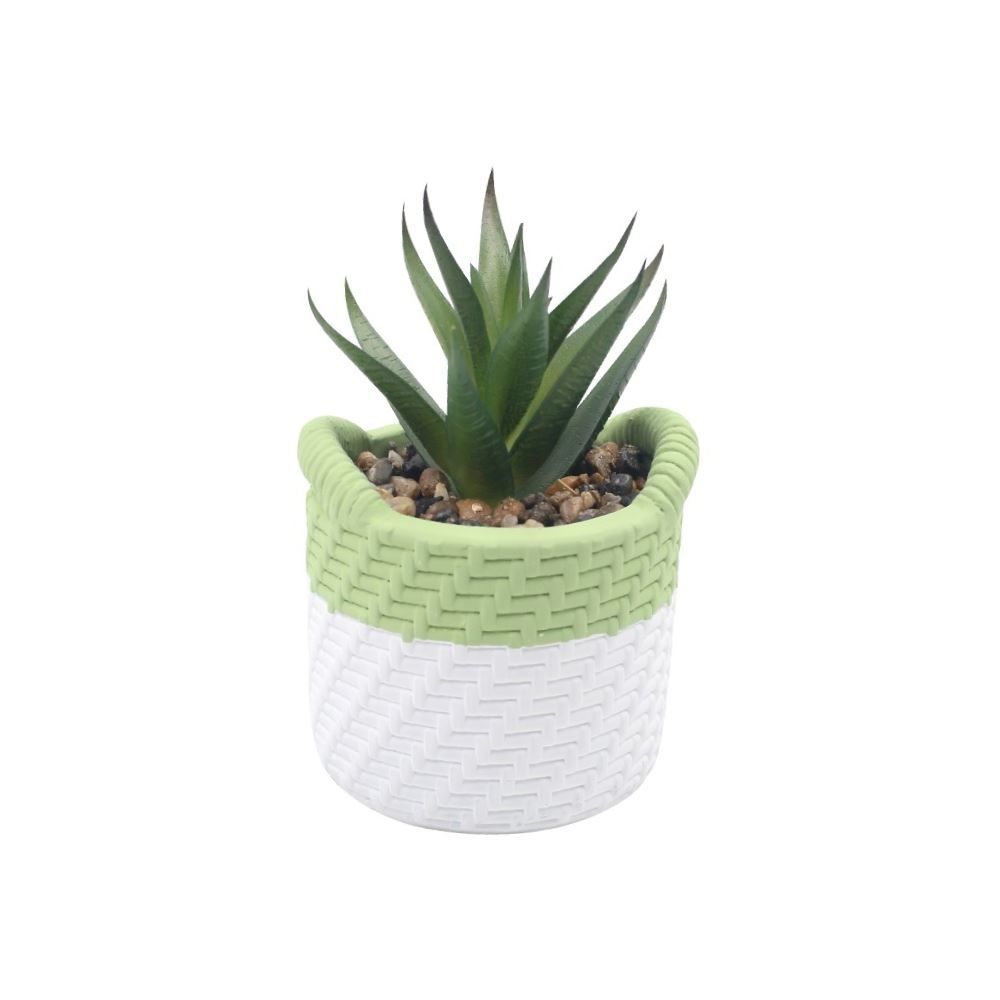 Suculenta com Vaso de Cimento Havan Casa 10,5Cm - Sortido