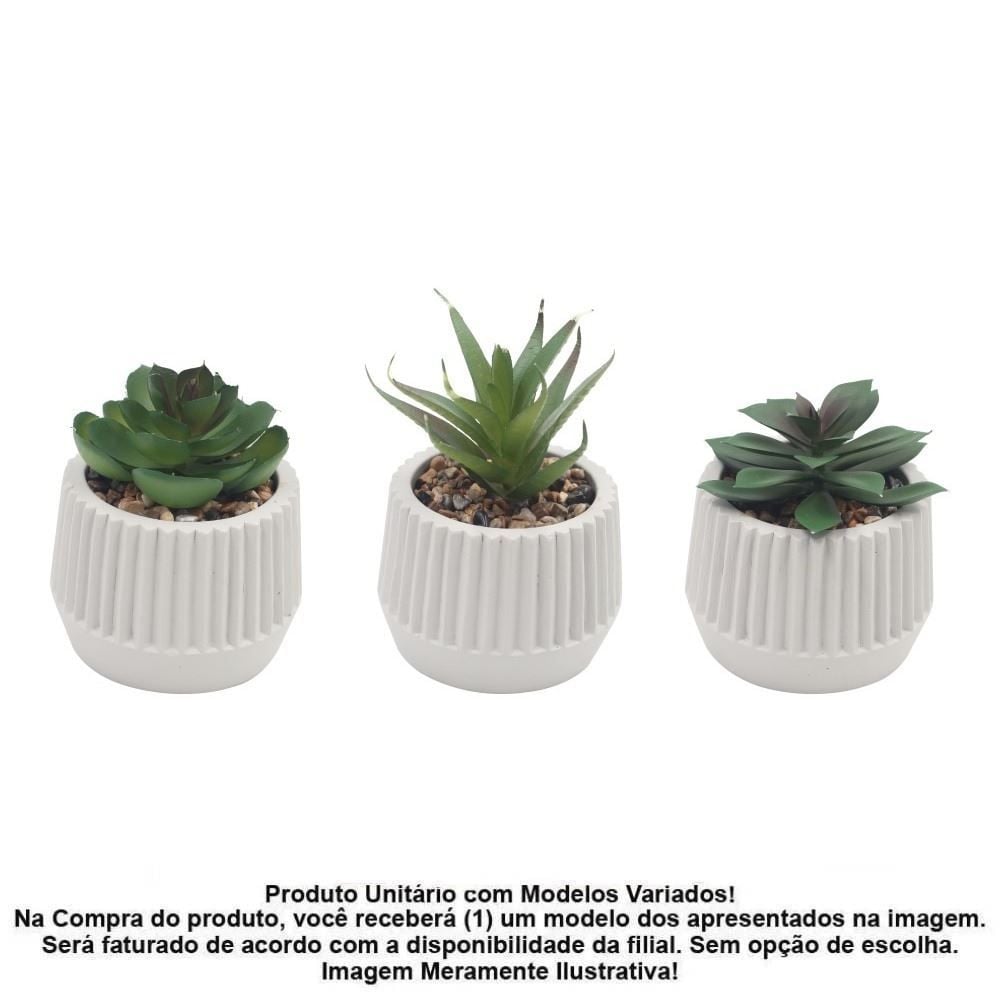 Suculenta com Vaso de Cimento Havan Casa 9Cm - Sortido