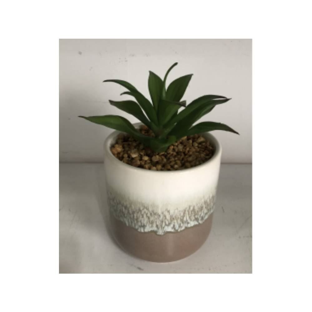 Suculenta Decorativa Yaris Com Vaso - Branco e Marrom