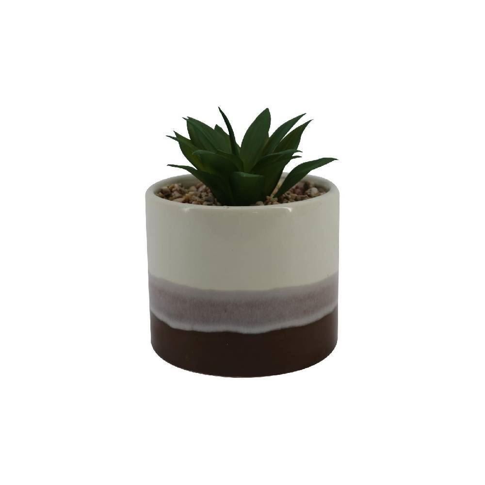 Suculenta Decorativa Yaris Com Vaso - Branco e Marrom