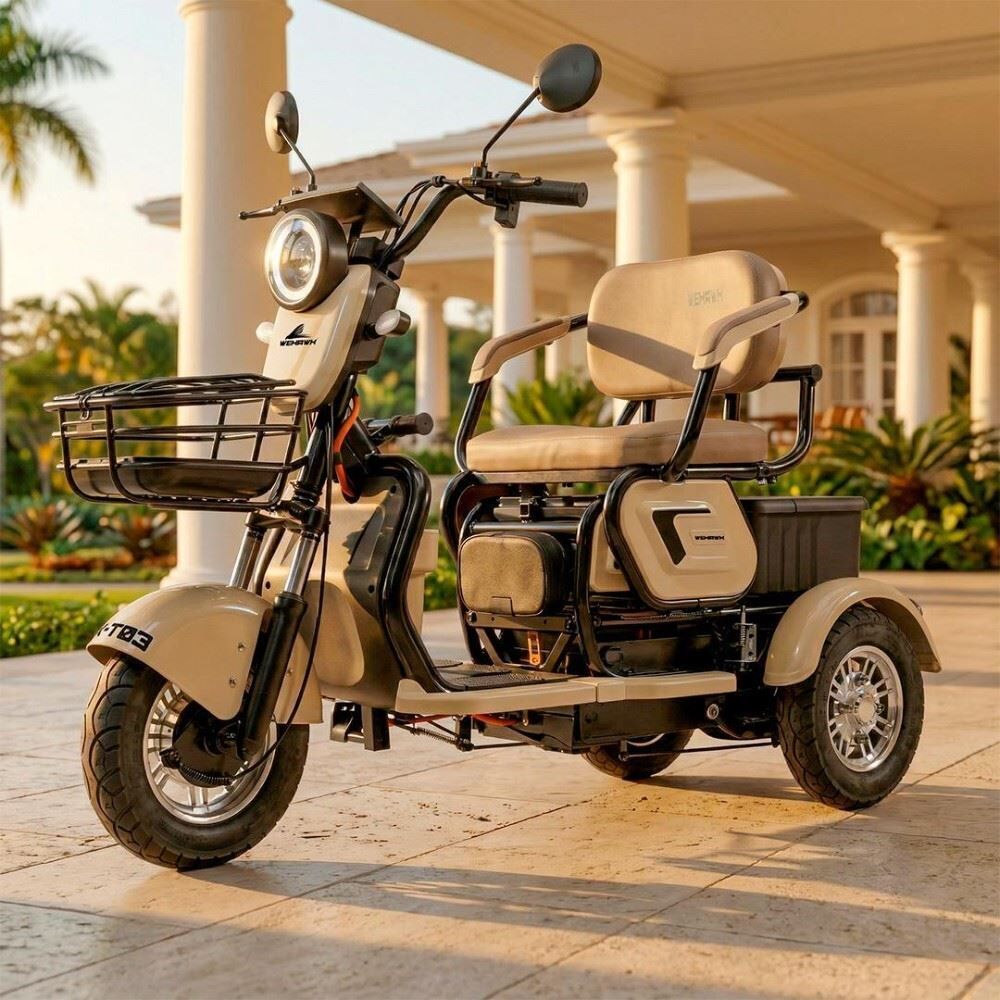 Triciclo Elétrico Wehawk Mult 3 Wx-T03 800W 48V 20Ah - Cappuccino