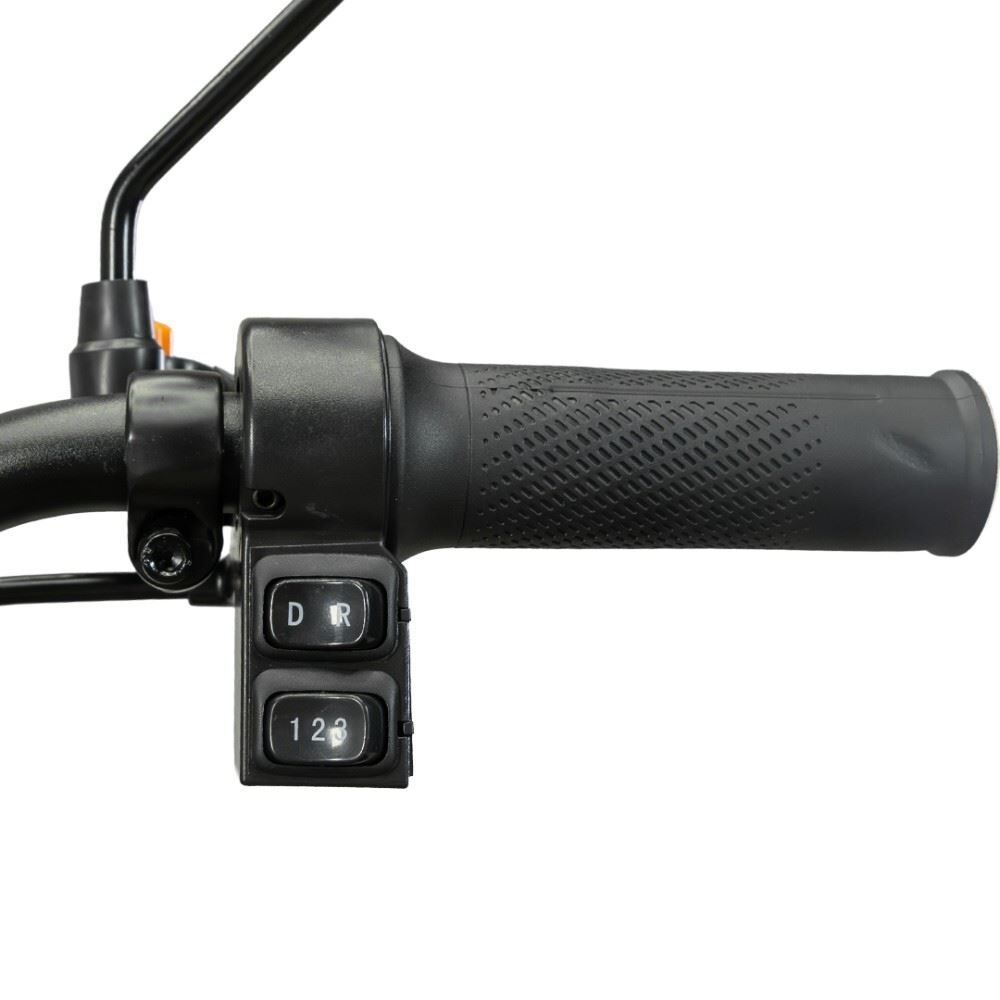 Triciclo Elétrico Wehawk Mult 3 Wx-T03 800W 48V 20Ah - Cappuccino