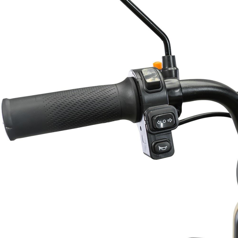 Triciclo Elétrico Wehawk Mult 3 Wx-T03 800W 48V 20Ah - Cappuccino