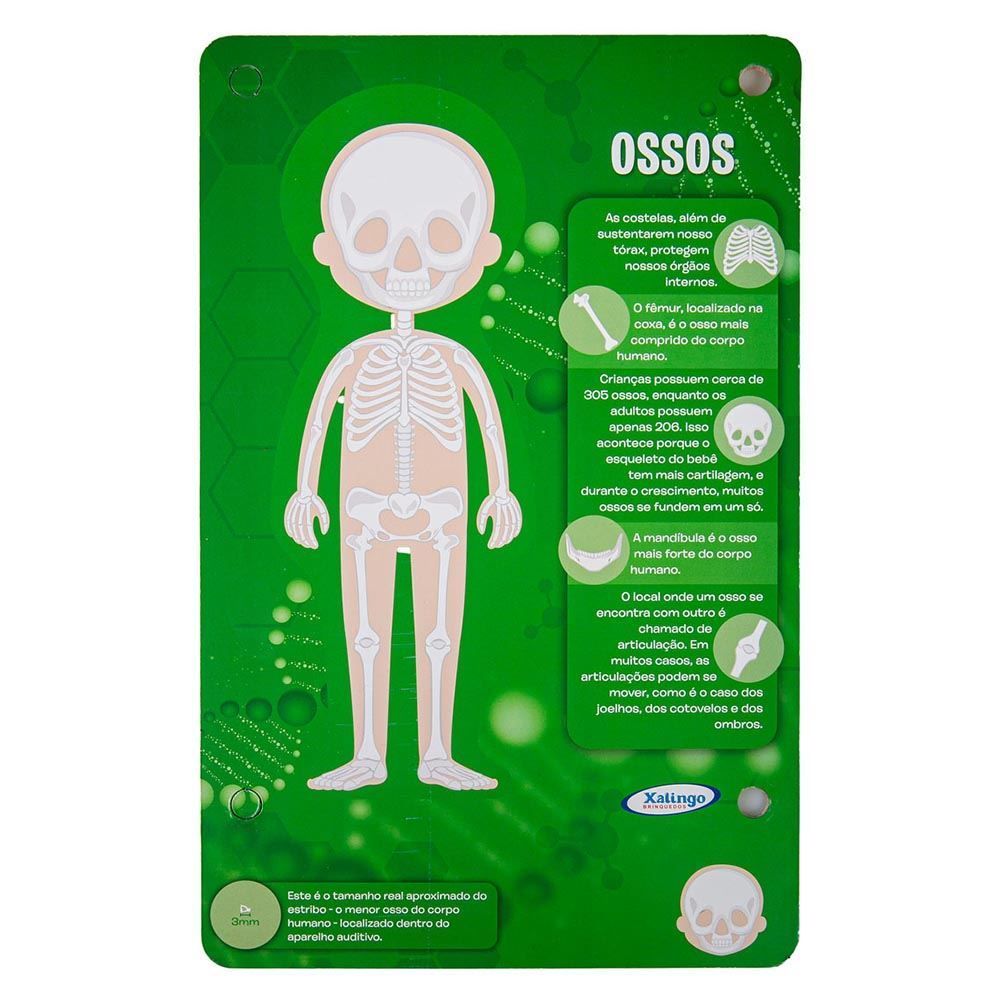 Jogo 50498 Steam Corpo Humano - 50498