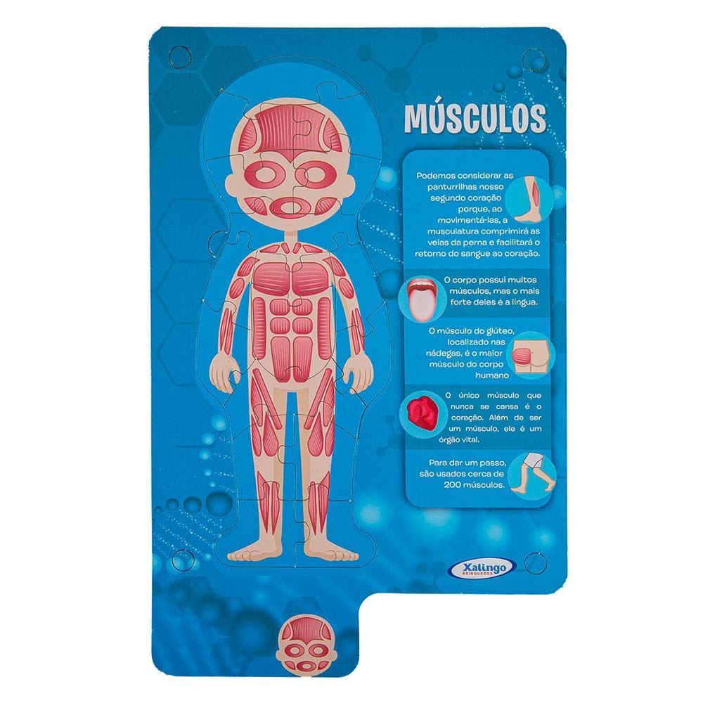 Jogo 50498 Steam Corpo Humano - 50498