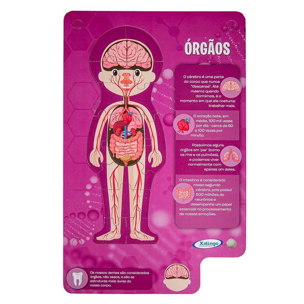 Jogo 50498 Steam Corpo Humano - 50498