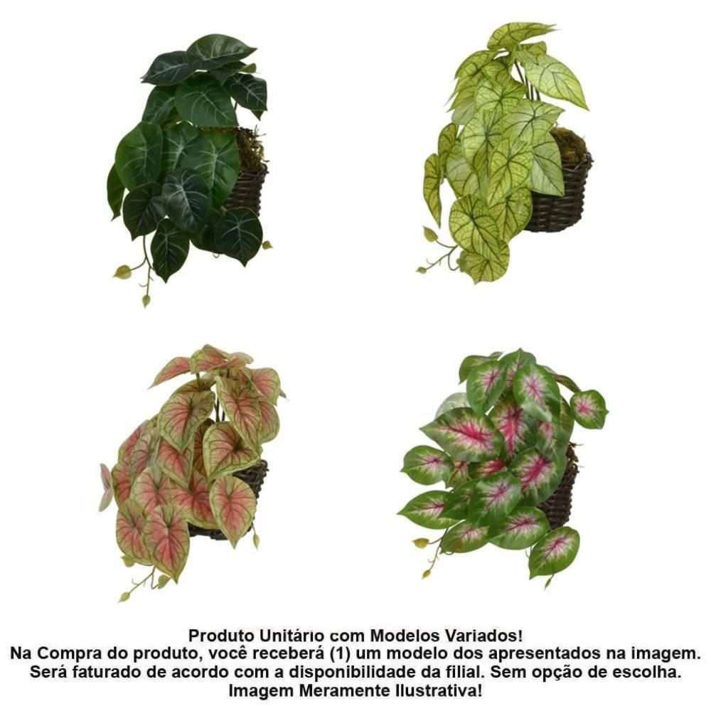 Arranjo Caladium Florarte 23Cm - Sortido