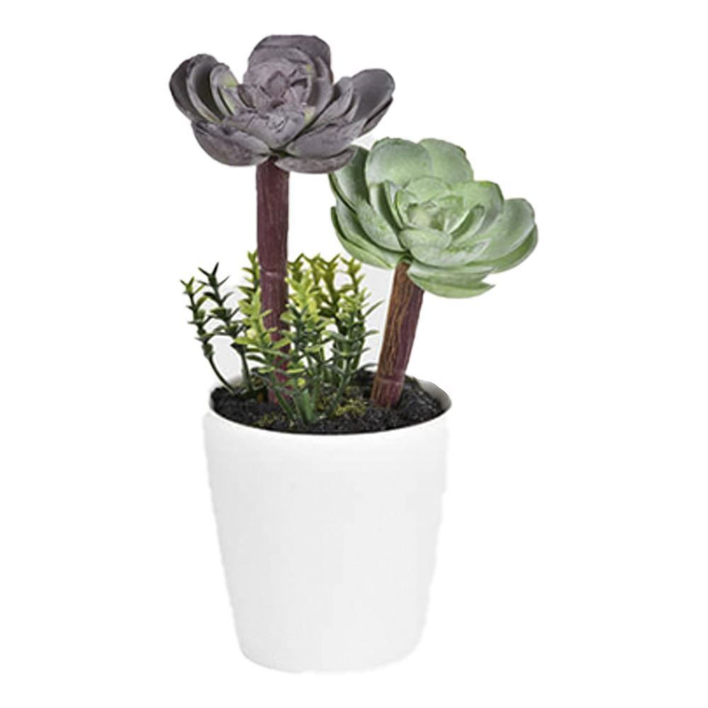 Arranjo Decorativo Grillo Suculenta 18Cm - Branco