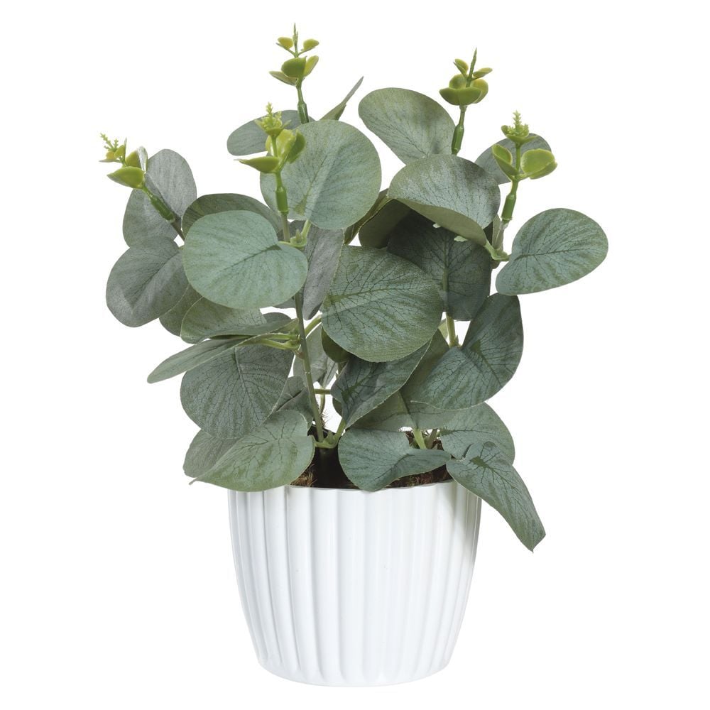 Arranjo Eucalipto Florarte 24X25cm - EUCALIPTO