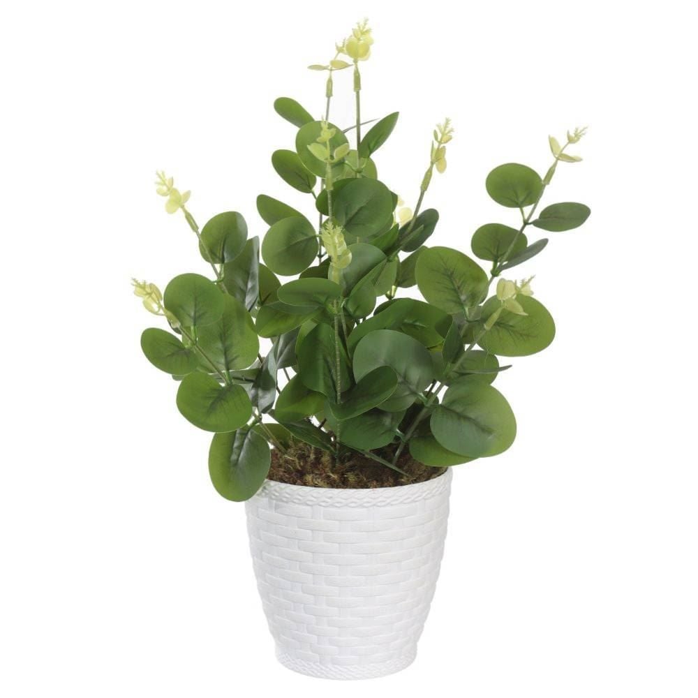 Arranjo Eucalipto Florarte 33Cm - Sortido