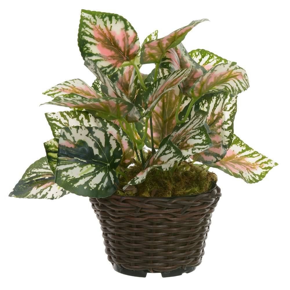 Arranjo Folhagens Florarte 22Cm - Sortido