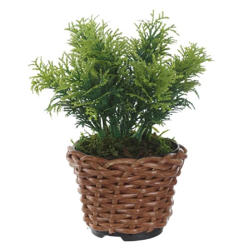 Arranjo Grass Florarte 15Cm Verde - GRASS