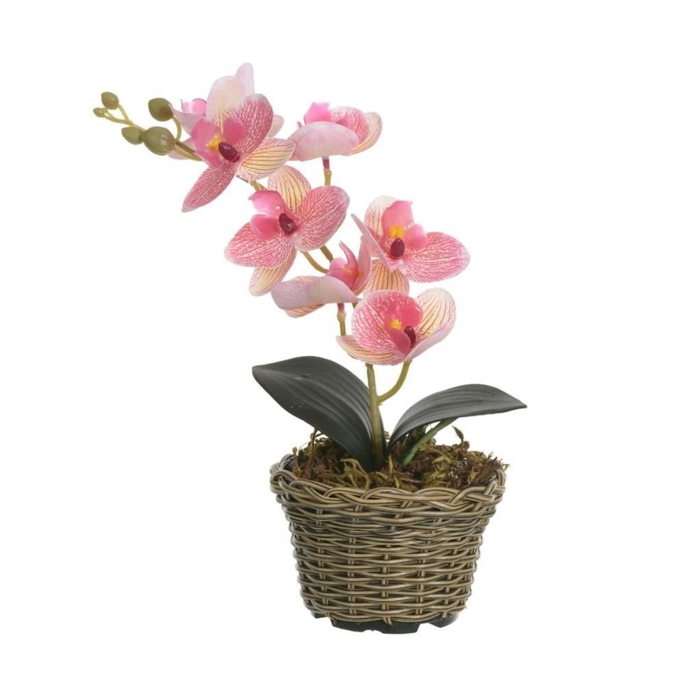 Arranjo Orquídea Florarte 30Cm - Sortido