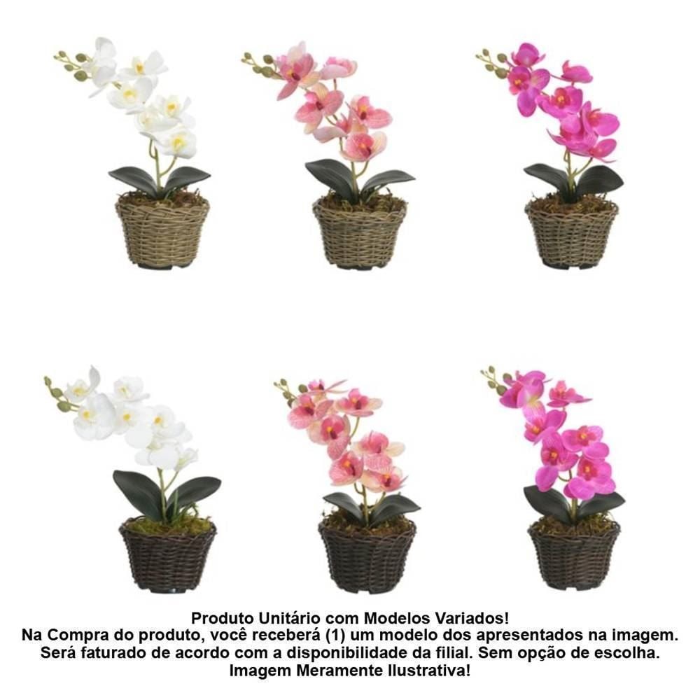 Arranjo Orquídea Florarte 30Cm - Sortido