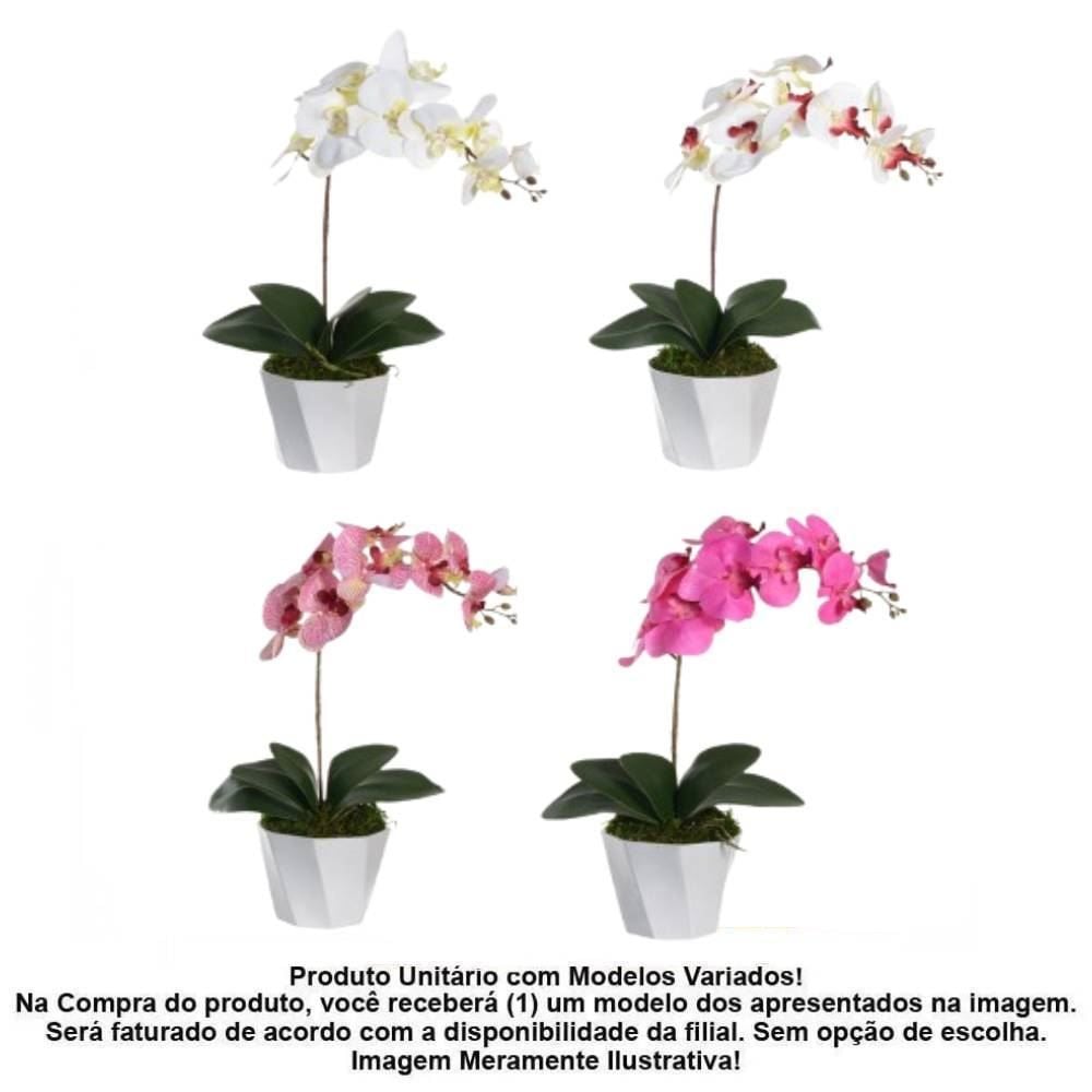 Arranjo Orquídea Phalaenopsis Florarte 52Cm - Sortido
