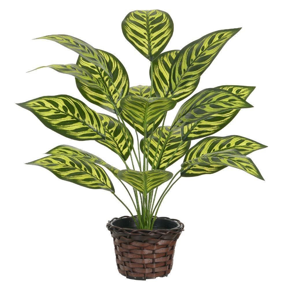 Arranjo Plantas 60Cm Florarte - Sortido