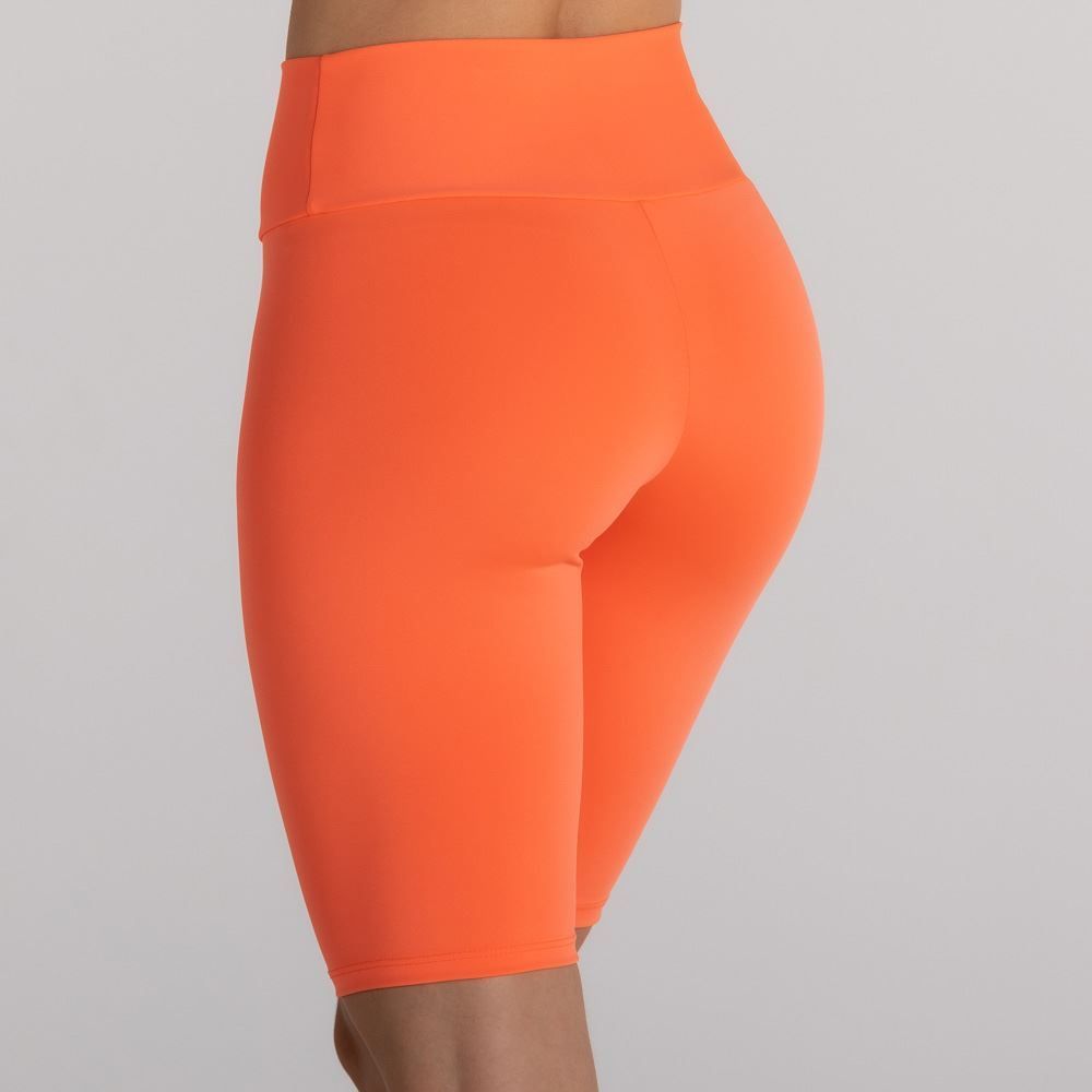 Bermuda New Gamma Body Lab