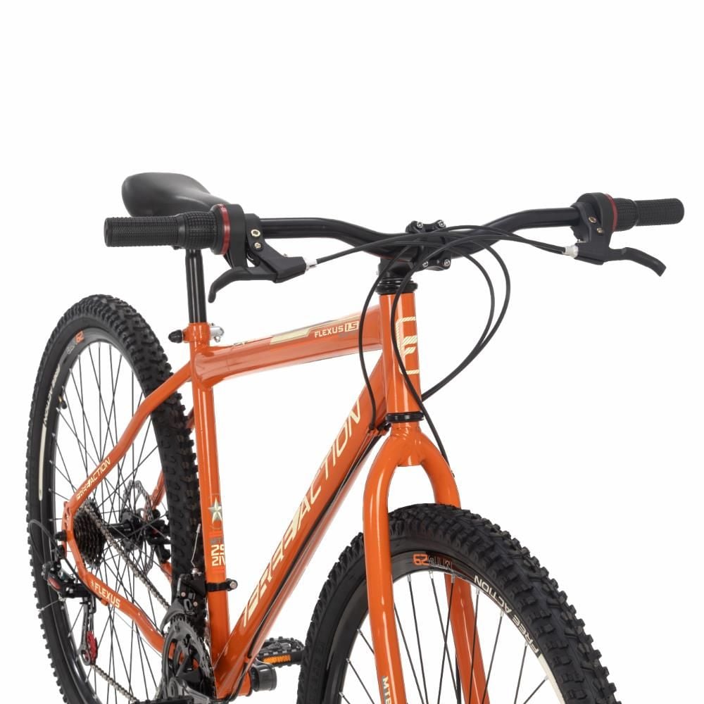 Bicicleta Aro 29 Free Action Flexus 1.5 Mtb 21V Disk-Brake Laranja - LARANJA