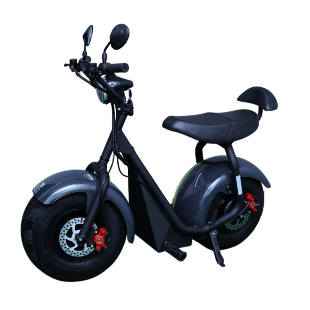 Bicicleta Elétrica Tui Motors 1000W com Bateria 60V - Cinza