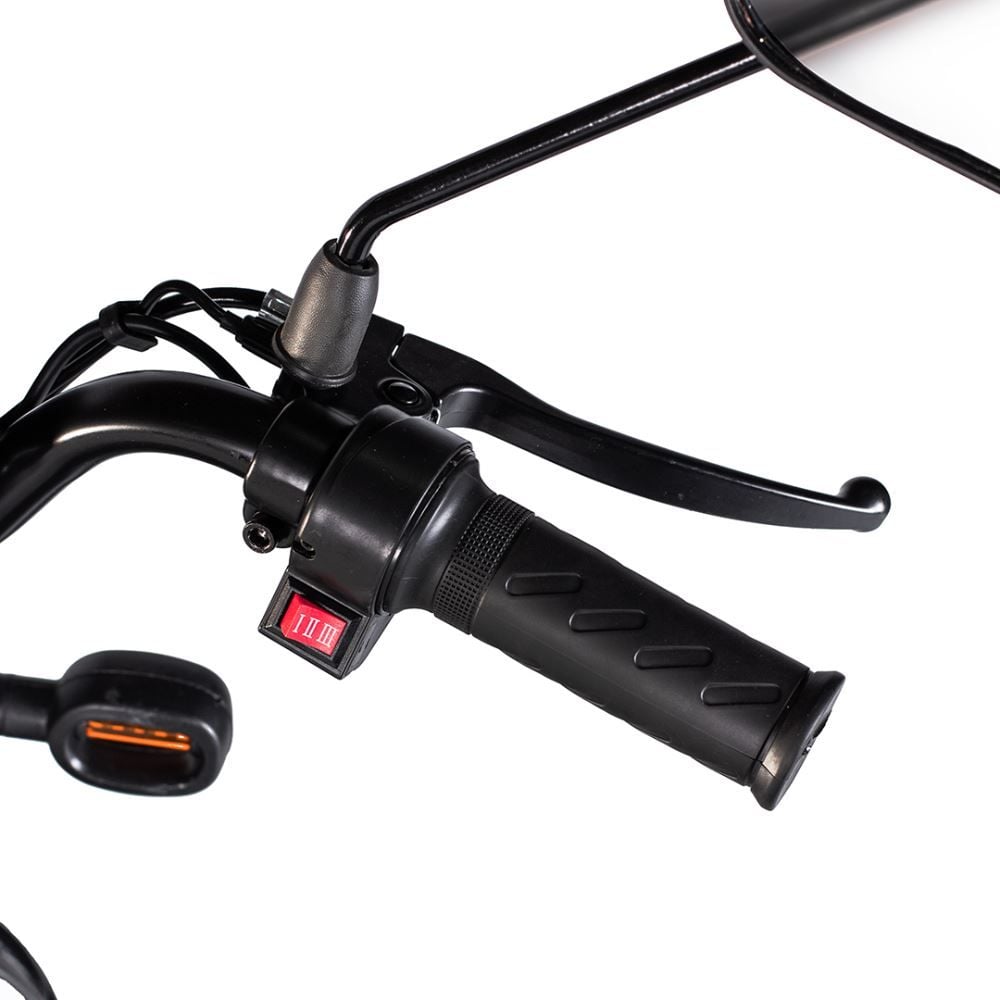 Bicicleta Elétrica Wehawk Basket Wx-03 500W com Bateria 48V Preta - 189964