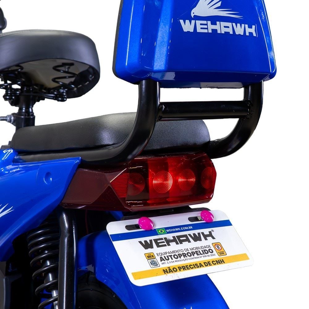Bicicleta Elétrica Wehawk Wx-03 Basket 800W Bateria Lítio 48V - Azul
