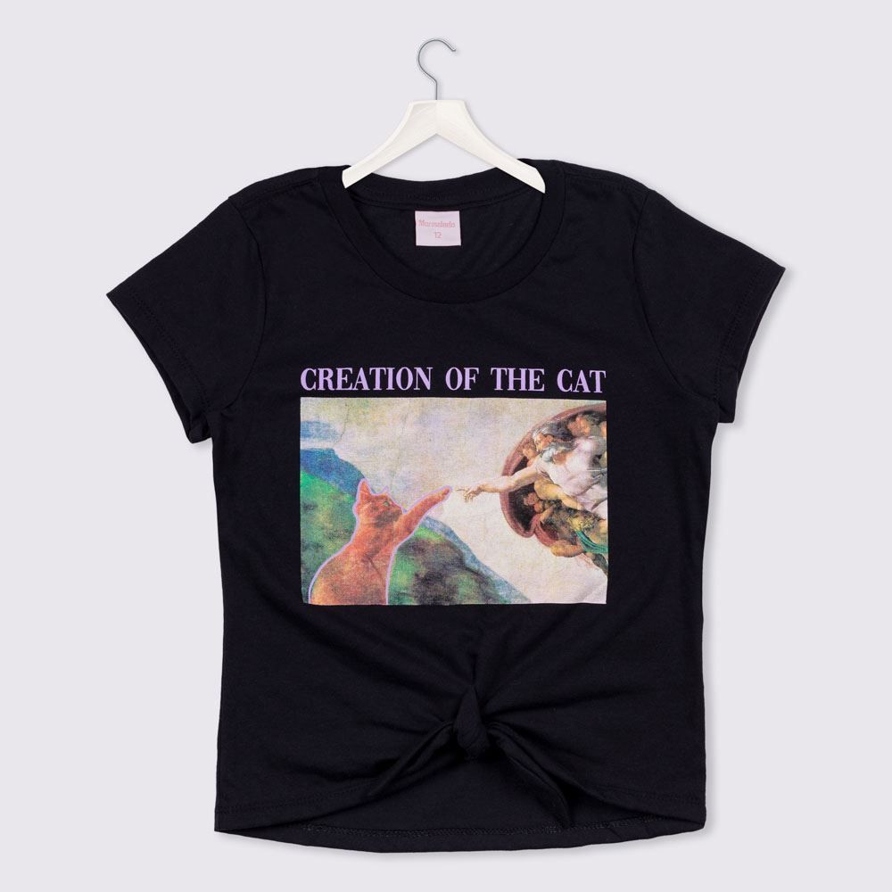 Blusa 12 a 16 anos Creation Of the Cat Pintura Marmelada