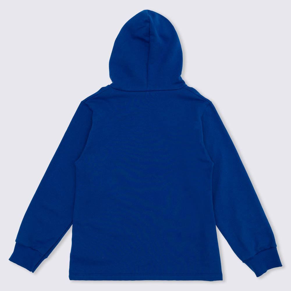 Blusão 4 a 10 anos Moletom com Capuz Dino Fakini