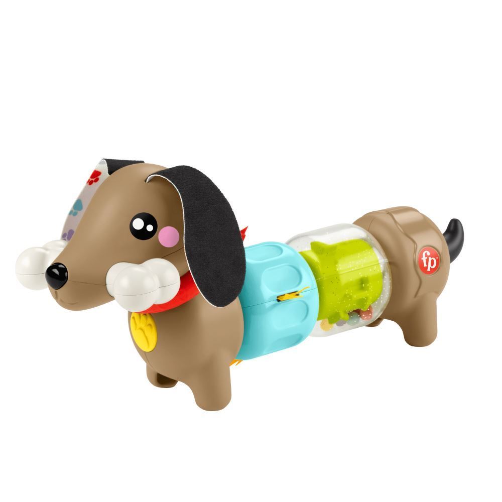 Cachorrinho Atividades Divertidas Fisher-Price - HTW9I